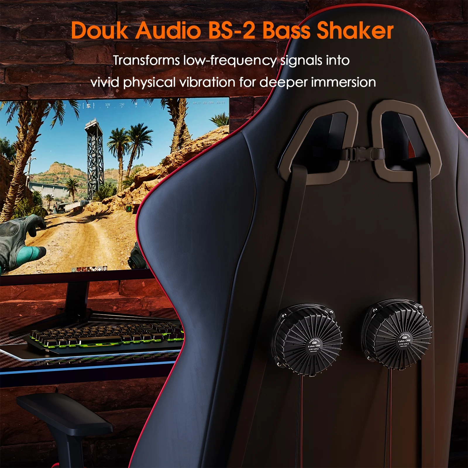 Douk Audio BS-2 30W 4Ω Bass Sh - Home Cinema Equipment recensione e prezzo