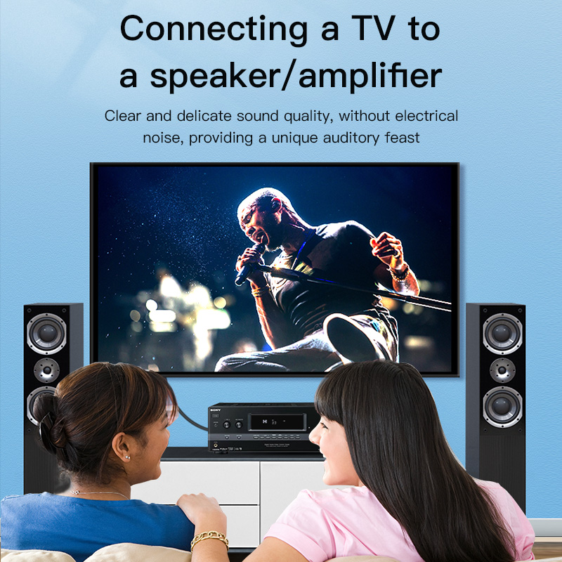 CHOSEAL Cavo RCA Digitale Coas - Genius Home Cinema recensione e prezzo